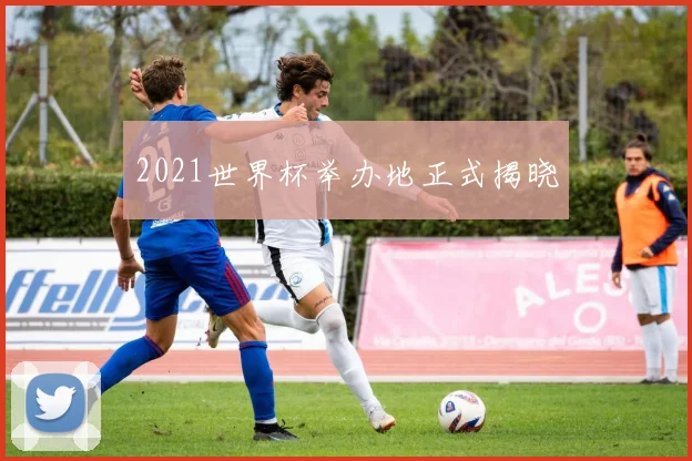 2021世界杯举办地正式揭晓