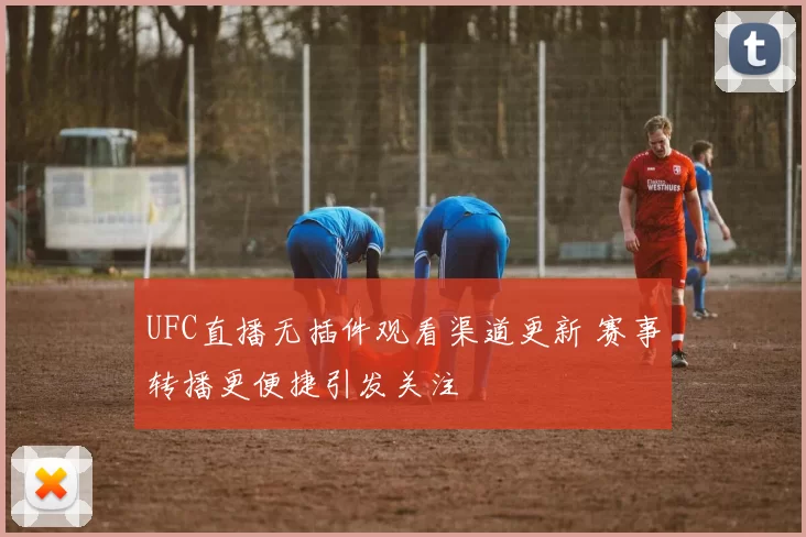 UFC直播无插件观看渠道更新 赛事转播更便捷引发关注