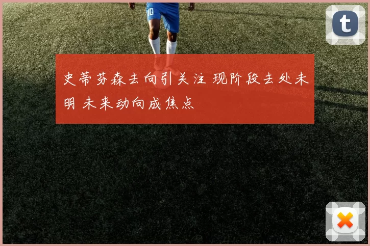 史蒂芬森去向引关注 现阶段去处未明 未来动向成焦点