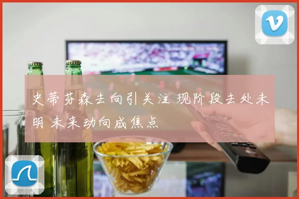 史蒂芬森去向引关注 现阶段去处未明 未来动向成焦点