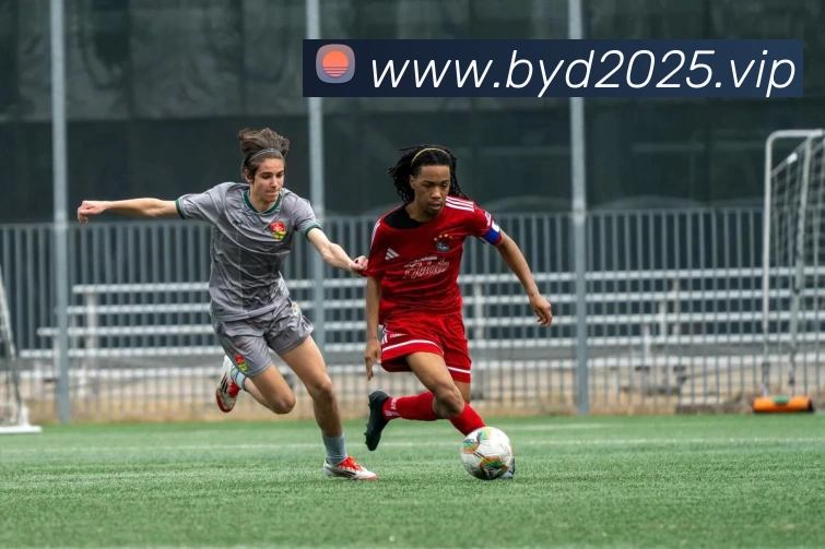 数据防护可视化